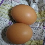 Kyouto Oohara Yamada Nouen Tamago Koubou - 1つ80円（税別）たまご♪