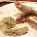 虎白 - 笹で燻した天竜川の稚鮎、こごみ(2016/4)