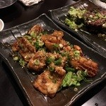 カンス - ミックスホルモン＋ハラミ