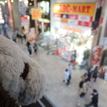 星乃珈琲店 - 窓から商店街を行き交う人を眺めるボキ。
            おもしろいな～