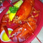 SUMMER SHACK - steamed lobster (1.5 lb)