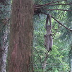 登六庵 - 木の上の小動物飾り物