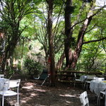 庭の様子（FINE画像）