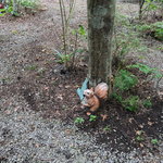 登六庵 - 庭の雰囲気（FINE画像）