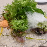 Nayutaka - カツオ・ホタテ・アジのカルパッチョ