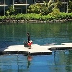 The Kahala Hotel & Resorts - 