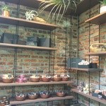 ル・シュクレクール - 焼菓子