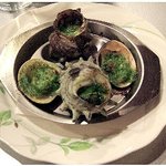 ブラッスリー・ハル - 