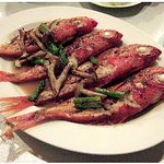 ブラッスリー・ハル - 