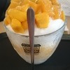 BEANS BINS COFFEE - 料理写真:생망고 빙수（生マンゴかき氷）13,900W（1,291円）