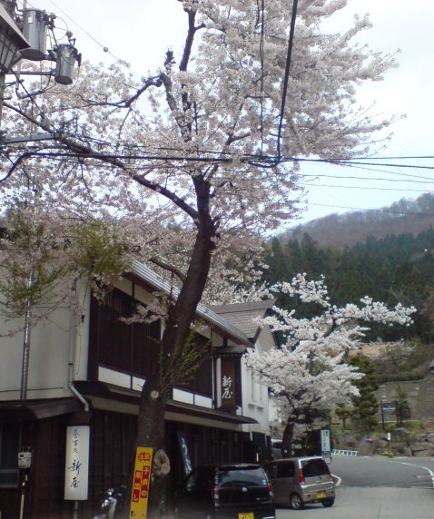 新屋 name=