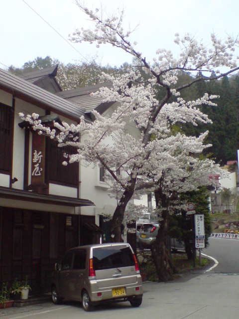 新屋 name=