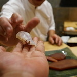 初音鮨 - 高知のアオリイカと自家製唐墨