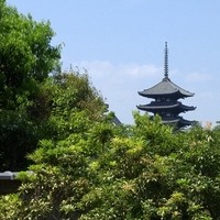 メインダイニングルーム 三笠 - 興福寺の五重塔が望めます