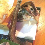 ほっぺのこめつぶ - 【いわし三昧】骨せんべい