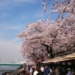 あんみつの深緑堂 - 