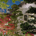 東京 芝 とうふ屋うかい - まだ桜も咲いていました