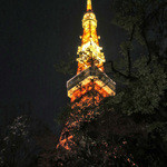 東京 芝 とうふ屋うかい - 東京タワーの袂