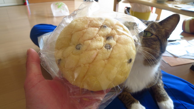 日日ベーカリー（ニチニチベーカリー） - 西北見（パン）の写真