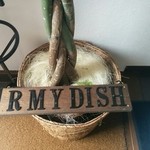 R mydish - 