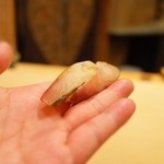 初音鮨 - ２回目５月中旬