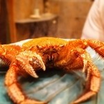 初音鮨 - ２回目５月中旬