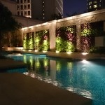 THE RITZ-CARLTON - スパ側のプール