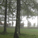 フードコートたてしな - 