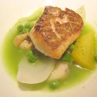 Cucina Italiana 東洞 - イトヨリのオーブン焼き　ツブ貝と季節野菜のズッパ