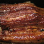 喜多川 - うな丼