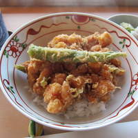 てんぷら 山の上 Roppongi 東京ミッドタウン店 - 小海老のかき揚天丼