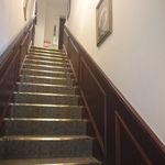 カカオティエゴカン - 