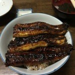 田代 - ボリュームあり。