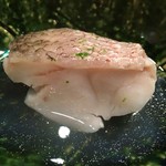 尽誠 - アマダイ