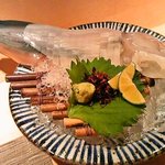 北新地 たくみ - 泳ぎいか姿造り