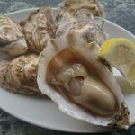 牡蠣バル - 