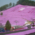 ひがしもこと芝桜公園売店 - 