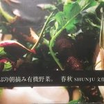 Shunjuu - shunju:メニュー