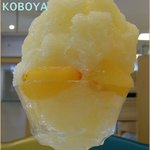 KOBOYA - この日のメニューで貴陽プラムのかき氷
