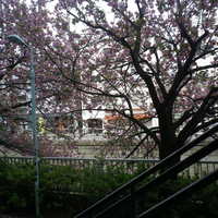 Restaurant Re: - 