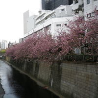 Restaurant Re: - 