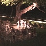 La Mer - キアヴェの樹