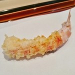 てんぷら 近藤 - 車海老（胴）