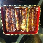 石ばし - 1.5匹の特上(’16/05/21)