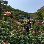 鎌倉 松原庵 - 松原庵・近くの鎌倉文学館
      待ち時間を過ごすのにちょうど良い距離にあります。