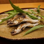 赤坂 詠月 - 琵琶湖産稚鮎にたれのは（葉っぱだけ食べる）