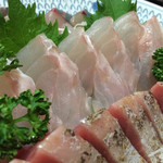 天一 - イギス  素晴らしい