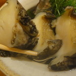 露石 - 身が分厚いん分かります！？