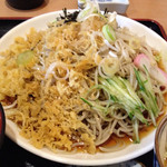 福徳屋 - 2016.4.21  冷やしたぬき蕎麦☆（2人前）別角度