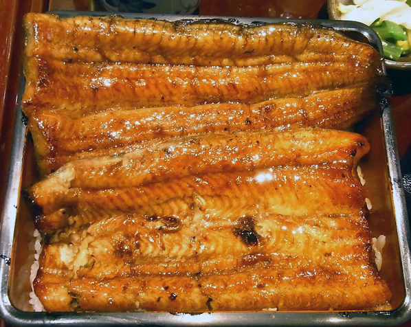 虎ノ門 うなぎのお宿>
